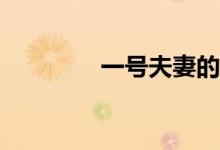 一号夫妻的意外险是什么？