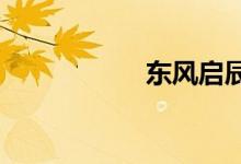  东风启辰是国产车吗 