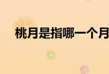 桃月是指哪一个月（桃月是指哪一个月）
