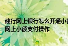 建行网上银行怎么开通小额支付 建设银行：如何进行银行卡网上小额支付操作