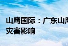 山鹰国际：广东山鹰生产经营正常未受到洪水灾害影响