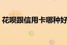 花呗跟信用卡哪种好 花呗上征信有什么影响 