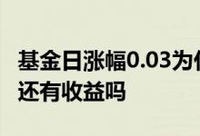 基金日涨幅0.03为什么还会亏 基金日涨幅是0还有收益吗
