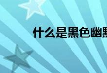 什么是黑色幽默（什么是黑匣子）