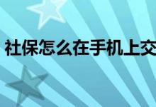社保怎么在手机上交 社保一个月要交多少钱 