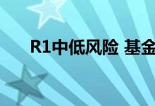 R1中低风险 基金r1低风险是什么意思
