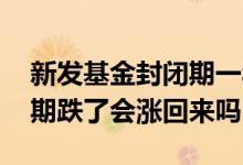 新发基金封闭期一年值得买吗 新发基金封闭期跌了会涨回来吗