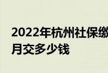 2022年杭州社保缴费基数是多少 杭州社保每月交多少钱 