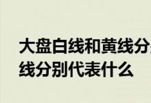 大盘白线和黄线分别代表什么 大盘白线和黄线分别代表什么
