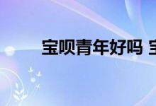 宝呗青年好吗 宝呗青年有什么影响