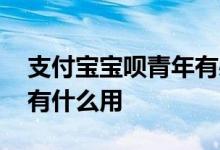 支付宝宝呗青年有必要开吗 支付宝宝呗青年有什么用
