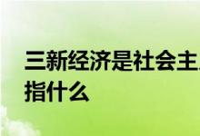 三新经济是社会主义市场经济吗 三新经济是指什么