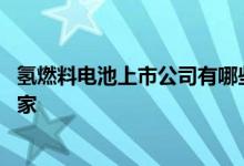 氢燃料电池上市公司有哪些 氢燃料电池上市公司龙头的哪一家 