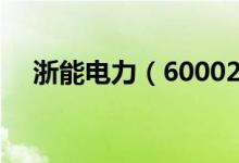 浙能电力（600023）股票机构持仓情况