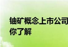 铀矿概念上市公司2022年名单一览5分钟带你了解