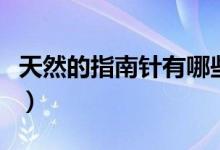 天然的指南针有哪些啊（天然的指南针是什么）