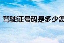  驾驶证号码是多少怎么看 驾驶证号码是多少 