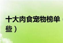 十大肉食宠物榜单（你知道的食肉宠物都有哪些）