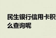 民生银行信用卡积分查询 民生银行卡积分怎么查询呢