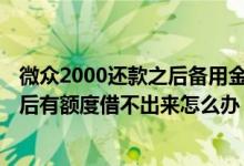 微众2000还款之后备用金没有额度 微众2000备用金还款以后有额度借不出来怎么办