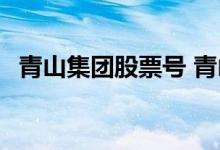 青山集团股票号 青山集团股票代码是什么 