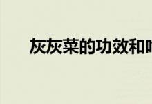 灰灰菜的功效和吃法（灰灰菜怎么吃）