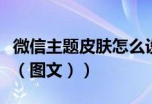 微信主题皮肤怎么设（微信主题皮肤怎么设置（图文））