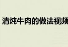 清炖牛肉的做法视频播放（清炖牛肉的做法）
