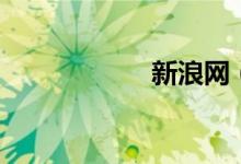 新浪网（新浪借钱）