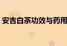 安吉白茶功效与药用（安吉白茶功效是什么）