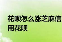 花呗怎么涨芝麻信用分 芝麻信用分多少可以用花呗