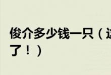 俊介多少钱一只（这种网红狗狗真的是要翻天了！）