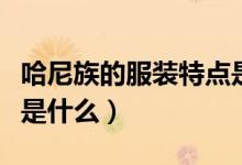 哈尼族的服装特点是什么（哈尼族服饰的特点是什么）