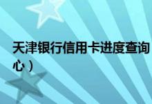 天津银行信用卡进度查询（天津银行信用卡申请进度查询中心）