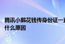腾讯小鹅花钱传身份证一直失败 小鹅花钱身份证识别失败是什么原因