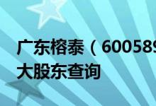 广东榕泰（600589）股东排名：广东榕泰十大股东查询