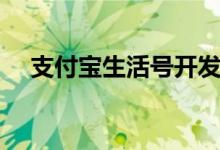 支付宝生活号开发（支付宝生活号贷款）
