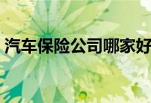 汽车保险公司哪家好（车主可以选择这几家）