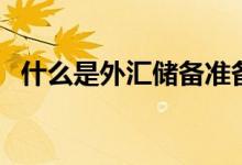 什么是外汇储备准备金率（什么是外汇宝）