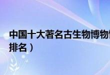 中国十大著名古生物博物馆盘点（国内最大的古生物博物馆排名）