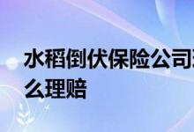 水稻倒伏保险公司理赔 水稻倒伏保险公司怎么理赔