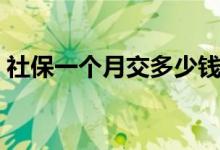 社保一个月交多少钱 社保交几年才有退休金 