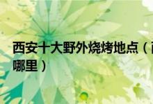 西安十大野外烧烤地点（西安户外烧烤的好地方西安野炊去哪里）