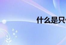 什么是只付息抵押贷款