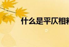 什么是平仄相粘（什么是平仄音）