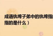 成语纨绔子弟中的纨绔指的是什么（成语纨绔子弟中的纨绔指的是什么）