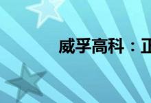 威孚高科：正在进行核酸排查