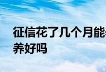 征信花了几个月能养好 征信花了六个月可以养好吗