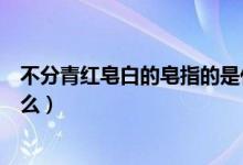不分青红皂白的皂指的是什么（不分青红皂白的皂指的是什么）
