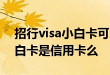 招行visa小白卡可以国内消费吗 招行visa小白卡是信用卡么 